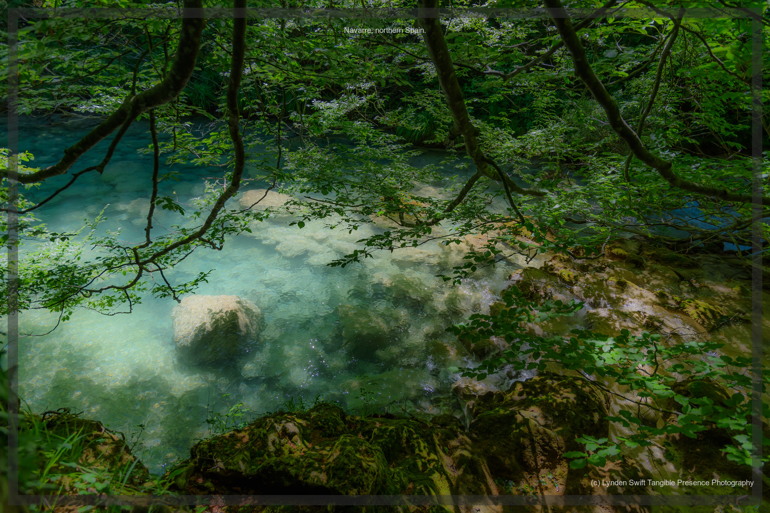  Uredella River. Navarre, Spain.  