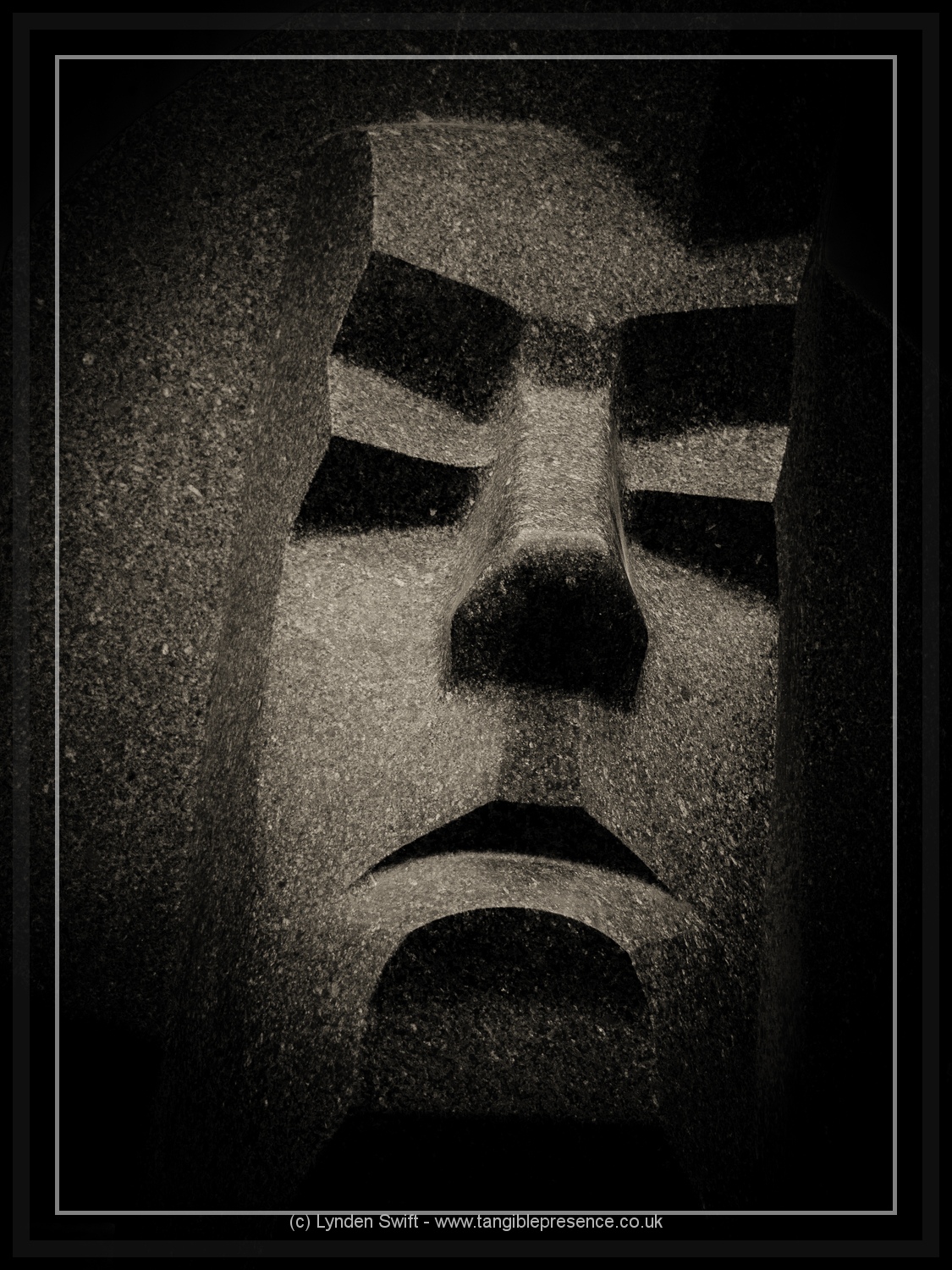  Close up | Lynden Swift Tangible Presence Photography. 