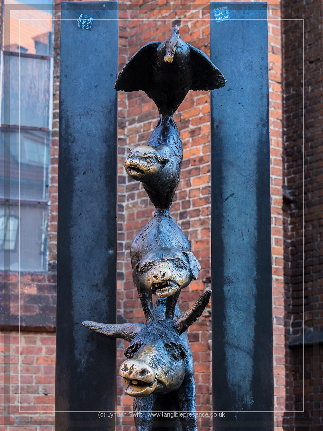  Carving | Lynden Swift Tangible Presence Photography. 