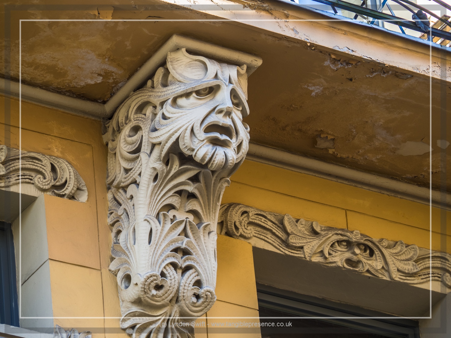  Leaf Face | Lynden Swift Tangible Presence Photography. 