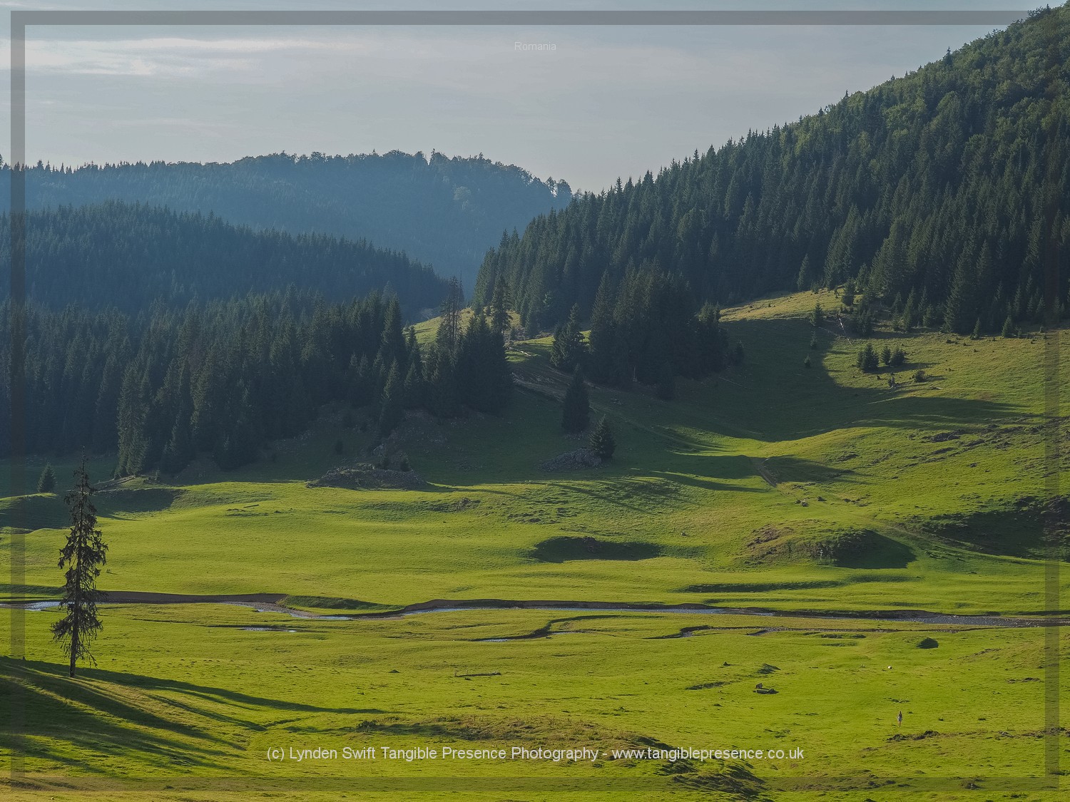  Romania. Apuseni Mountains | Lynden Swift Tangible Presence Photography. 
