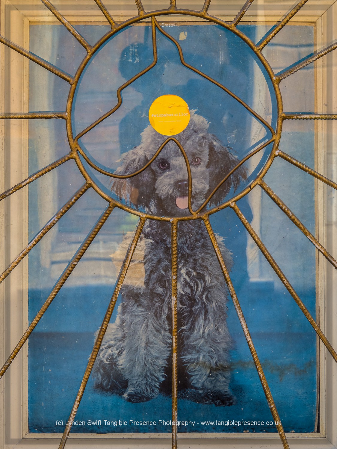  Shop window, Brasov, Romania. 