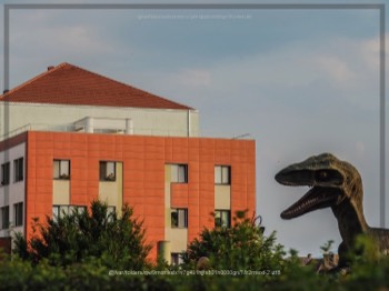  Sibiu, Romania. | Lynden Swift Tangible Presence Photography. 