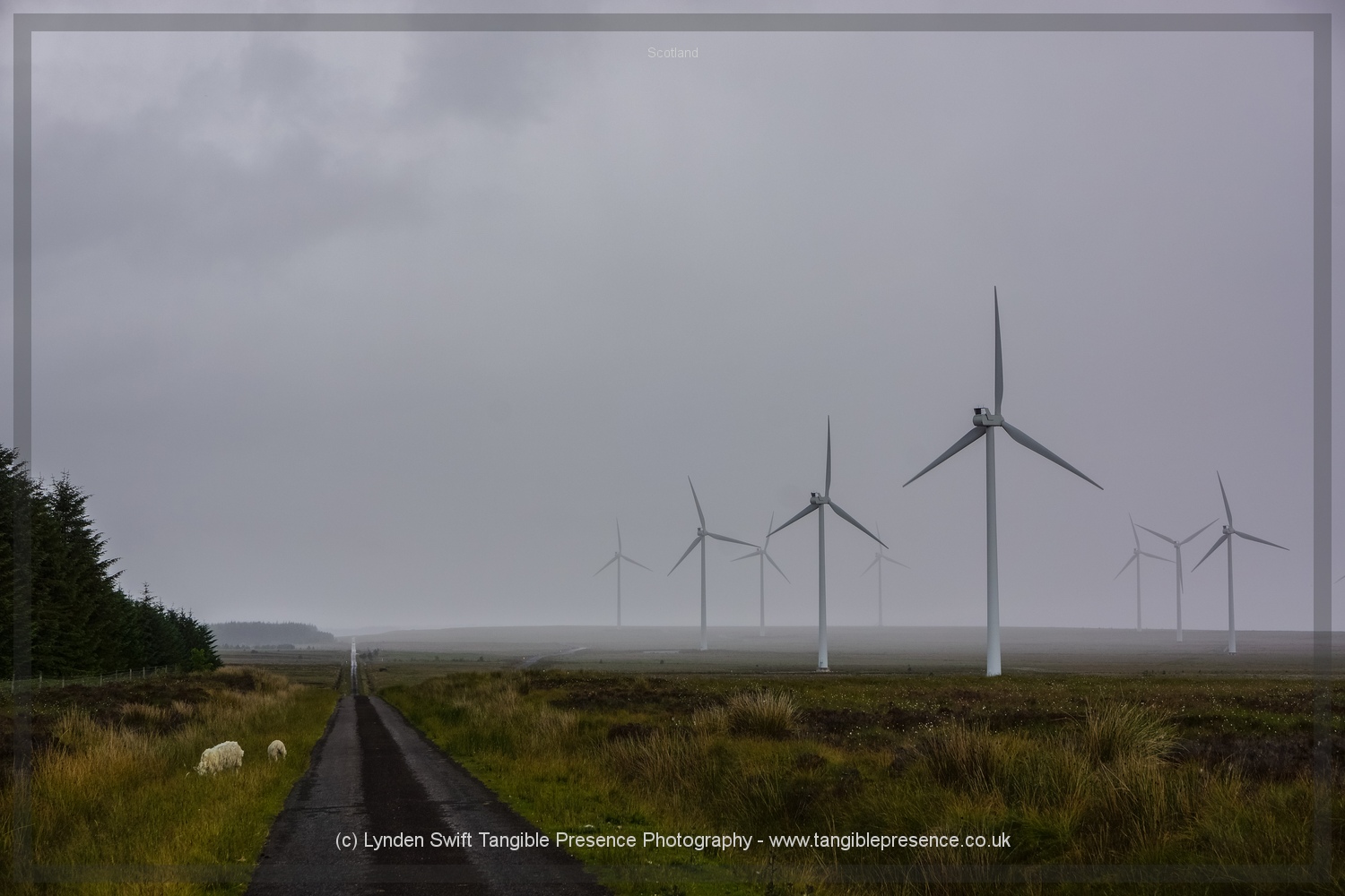  Camster wind farm 