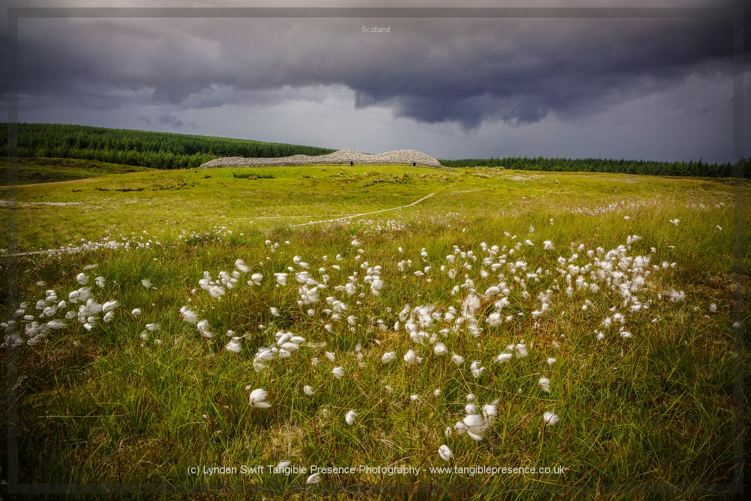  Grey Cairns of Camster. Unique collection of long barrows 