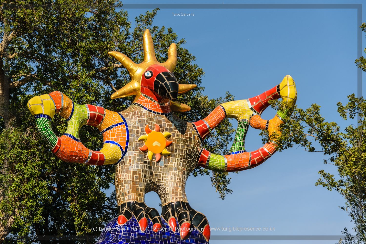  Sun | Tangible Presence | Photography by Lynden Swift 