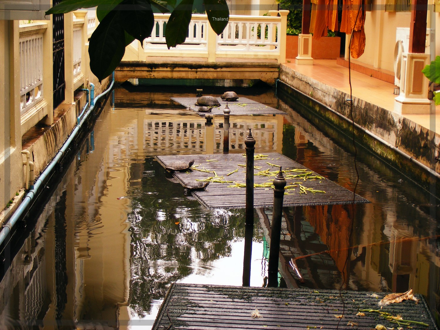  Thailand. Lynden Swift. Tangible Presence Photography.  