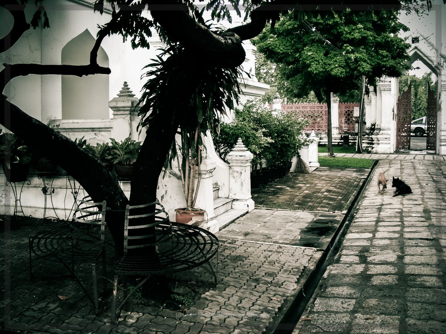  Thailand. Lynden Swift. Tangible Presence Photography.  