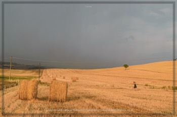  Thunderstorm. Lynden Swift. Tangible Presence Photography. 