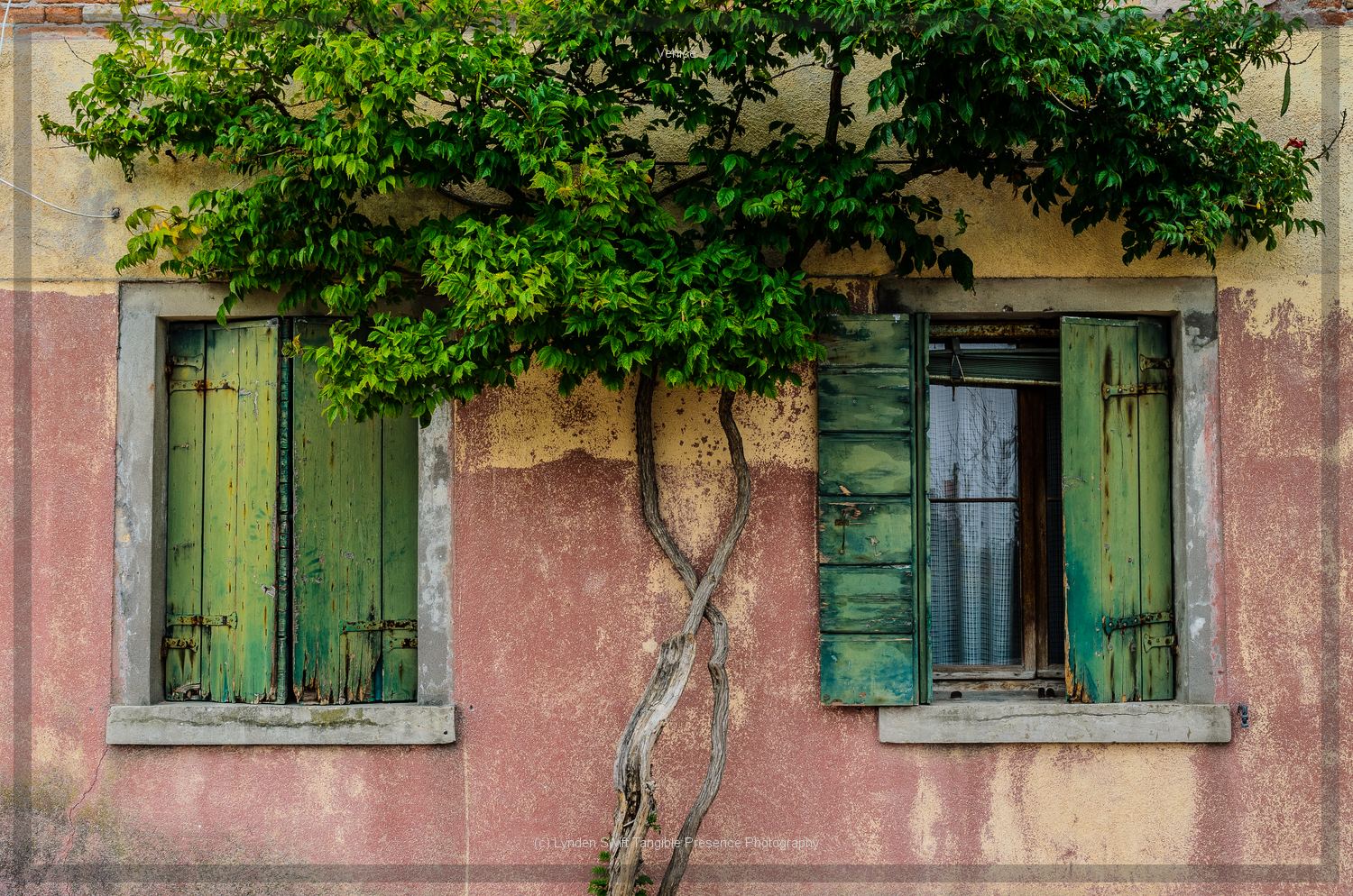  Island House. Venice. Lynden Swift. Tangible Presence Photography. 