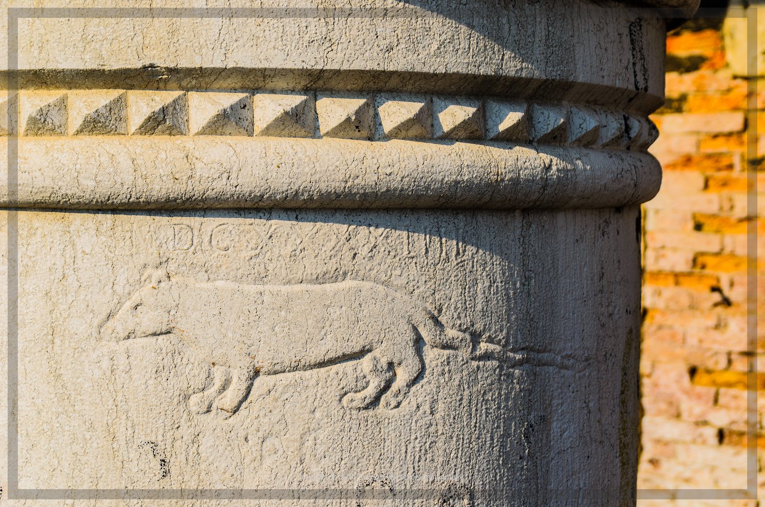  Can you find the rat? Venice. Lynden Swift. Tangible Presence Photography. 