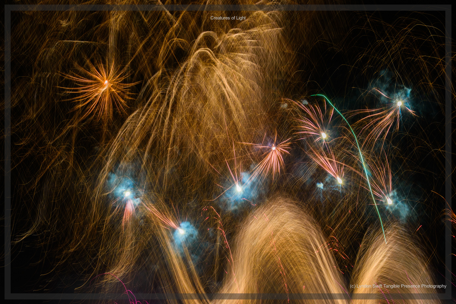  Creatures of Light. Lynden Swift. Tangible Presence Photography.  