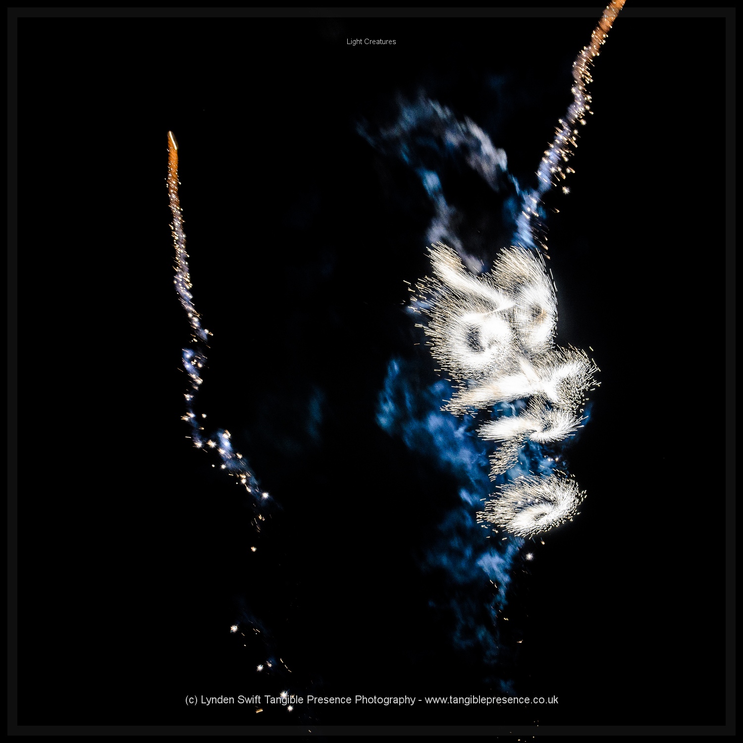  Creatures of Light. Lynden Swift. Tangible Presence Photography.  