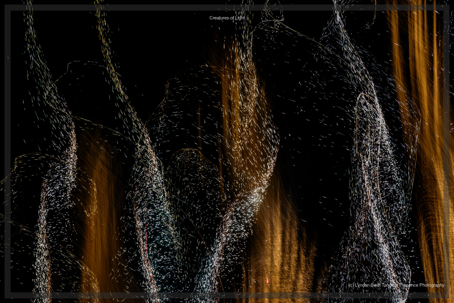  Creatures of Light. Lynden Swift. Tangible Presence Photography.  