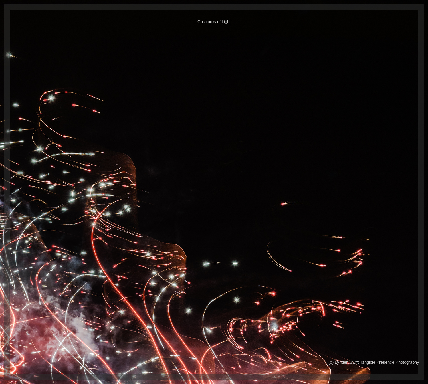  Creatures of Light. Lynden Swift. Tangible Presence Photography.  