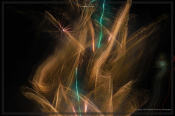  Creatures of Light. Lynden Swift. Tangible Presence Photography.  