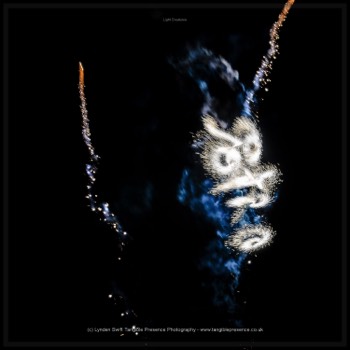  Creatures of Light. Lynden Swift. Tangible Presence Photography.  