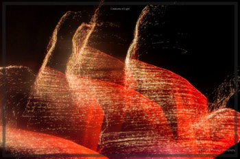  Creatures of Light. Lynden Swift. Tangible Presence Photography.  