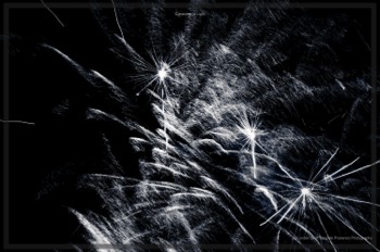  Creatures of Light. Lynden Swift. Tangible Presence Photography.  