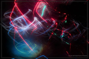  Creatures of Light. Lynden Swift. Tangible Presence Photography.  