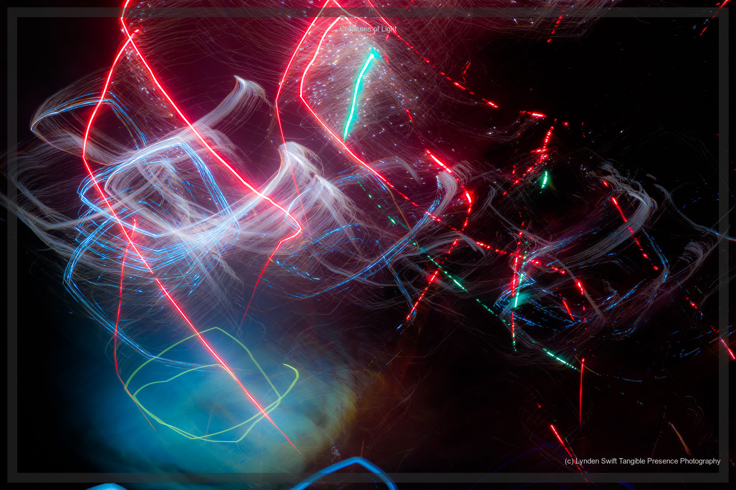  Creatures of Light. Lynden Swift. Tangible Presence Photography.  