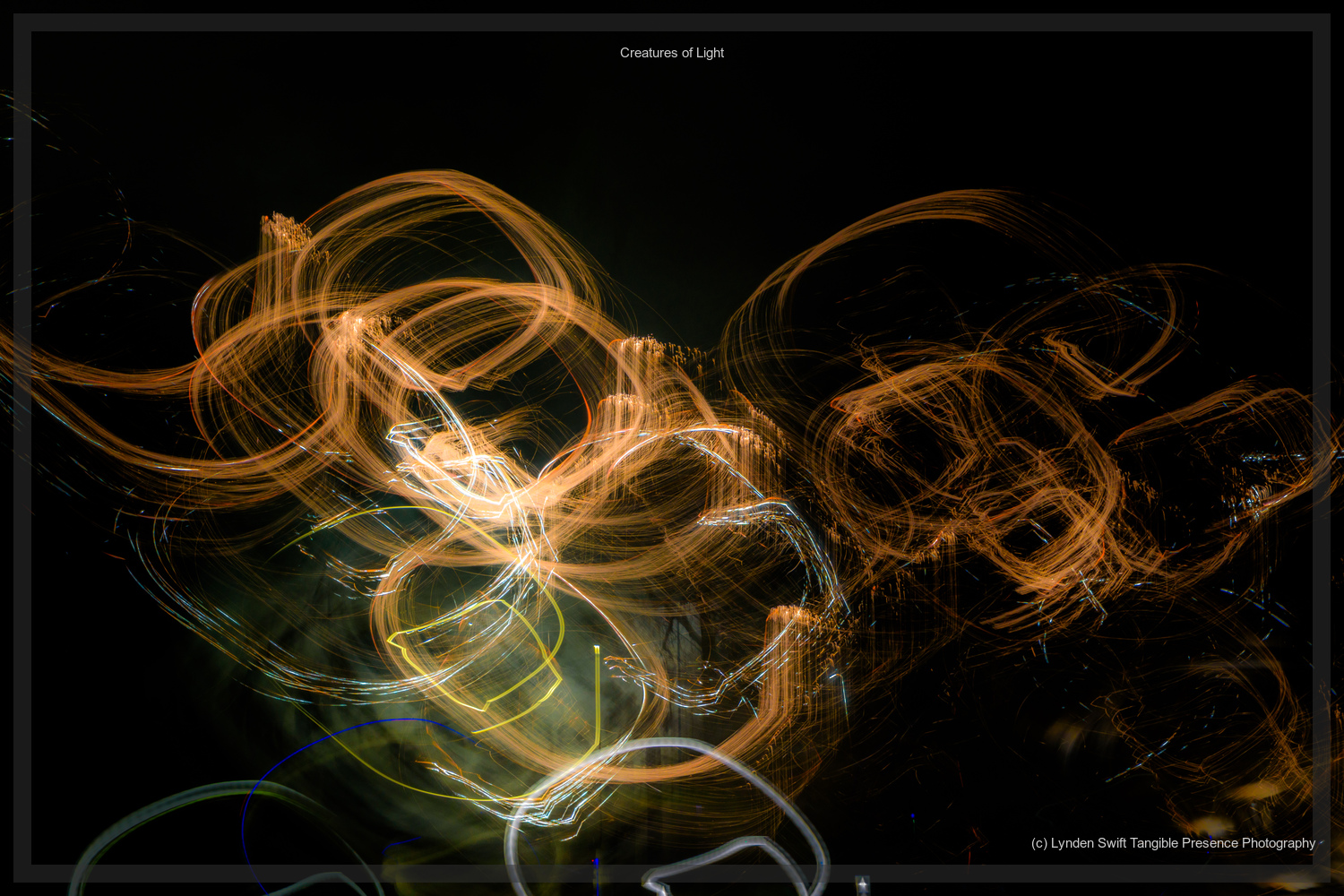  Creatures of Light. Lynden Swift. Tangible Presence Photography.  