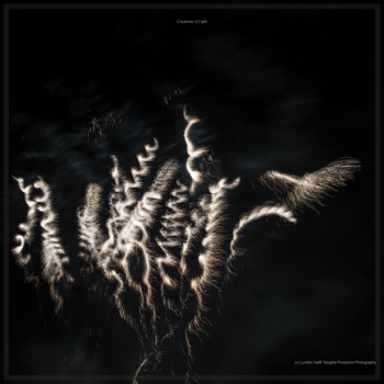  Creatures of Light. Lynden Swift. Tangible Presence Photography.  