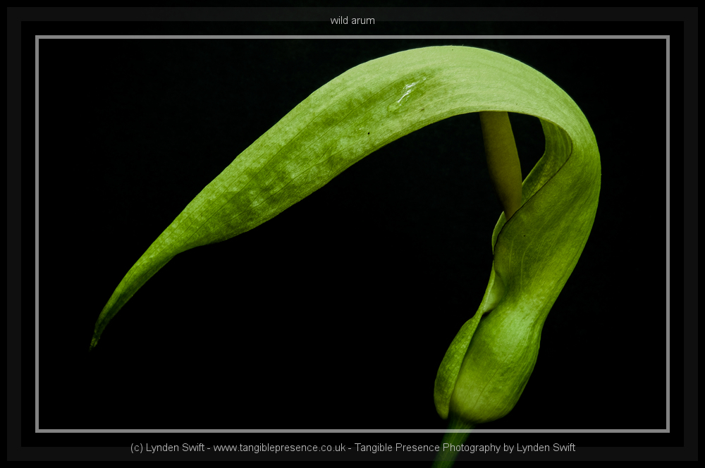 Stacks Image 141